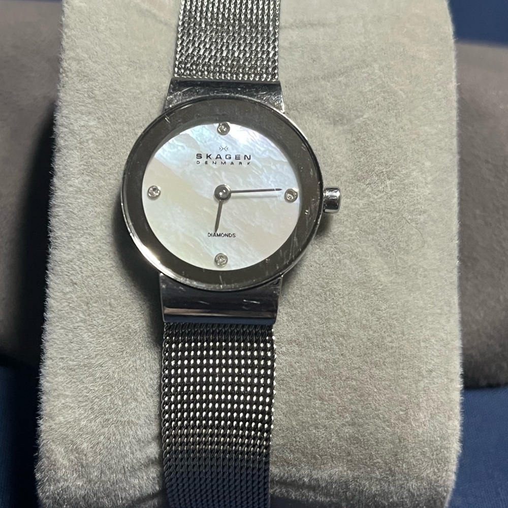 skagen watch